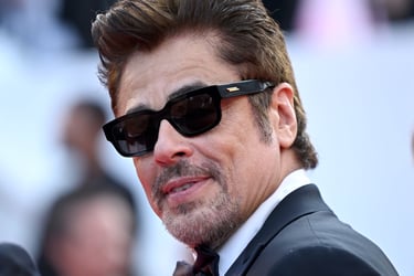 BV_Benicio Del Toro