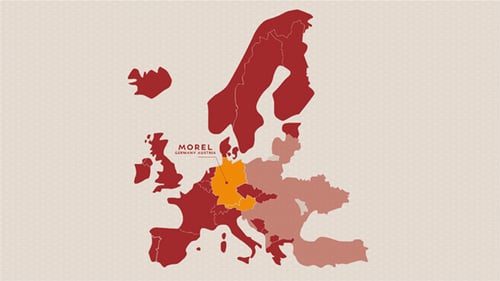 Morel apre la 15° filiale: Morel Germany-Austria.