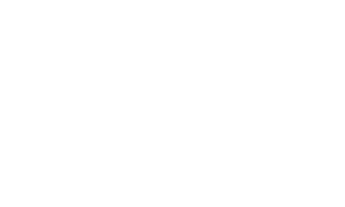 anfao_logo