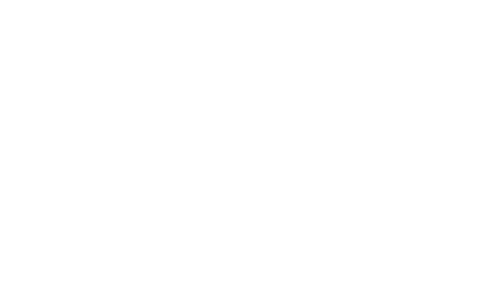 anfao_logo