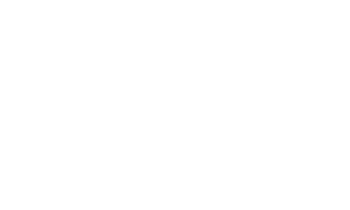 websolute_logo