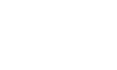 aimo