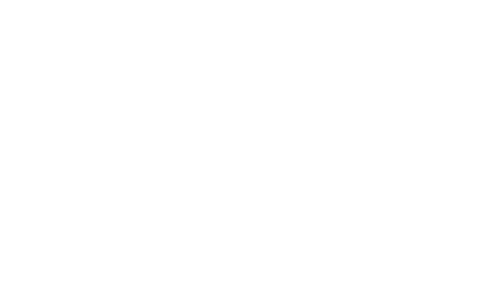 logo_anfao