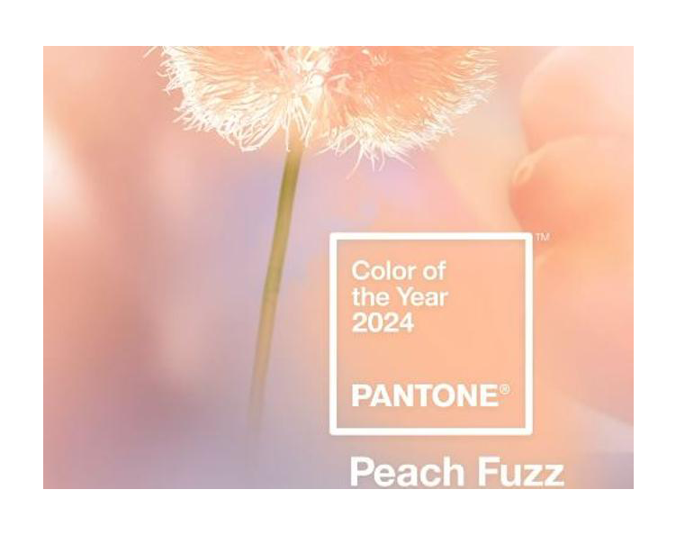 Il colore Pantone del 2024 è il Peach Fuzz