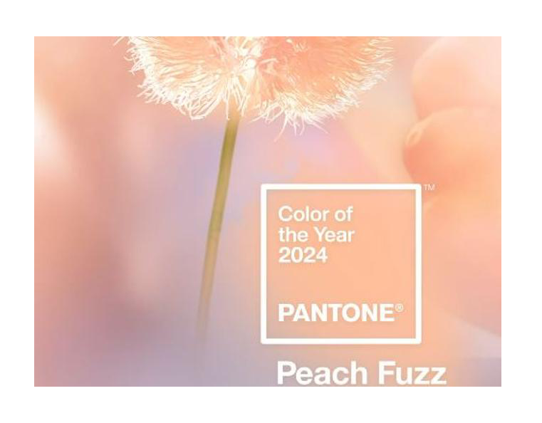 Il colore Pantone del 2024 è il Peach Fuzz